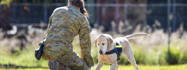 ADF aims for more women to serve by 2030